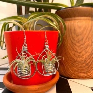 Silver wrapped air plant earrings